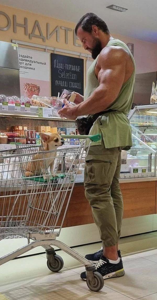 Ke si nepotrebujete ni dokazova